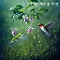 "Hummingbirds" Lens Cleaning Cloth