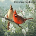 "Cardinals" Lens Cleaning Cloth
