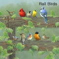 "Rail Birds" Lens Cleaning Cloth