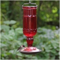 Red Antique Bottle Hummingbird Feeder (24 oz)