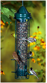 The Ultimate Guide To Squirrel Proof Bird Feeders Squirrel Proof