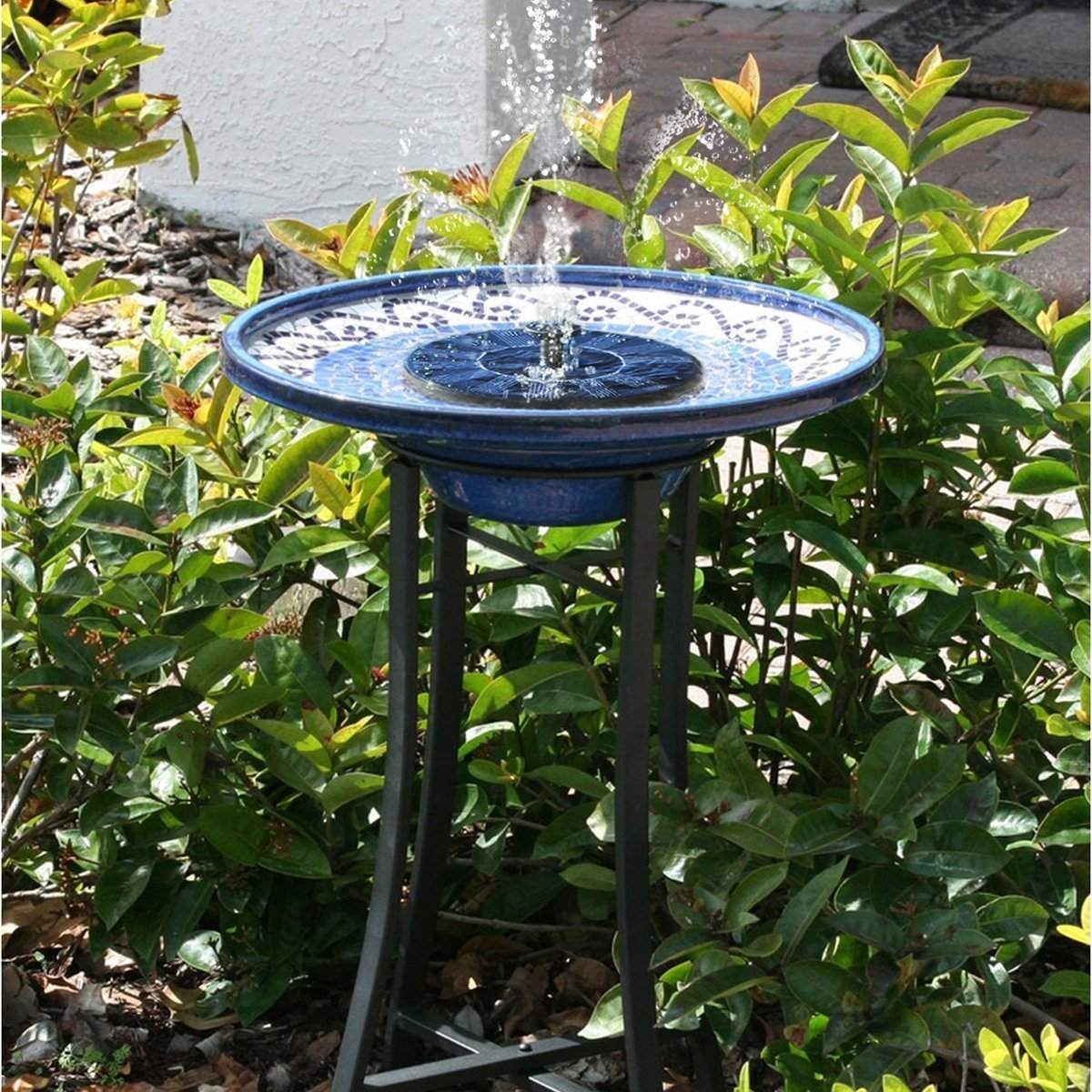 Attracting Birds Archives Squirrel Proof Bird Feeder Specialists
