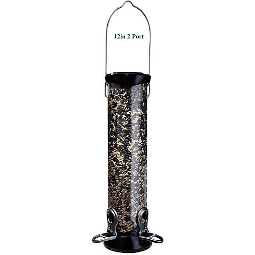 Squirrel Buster Plus Archives Squirrel Proof Bird Feeder