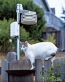 Davis 6382 Wireless Temperature/Humidity Station